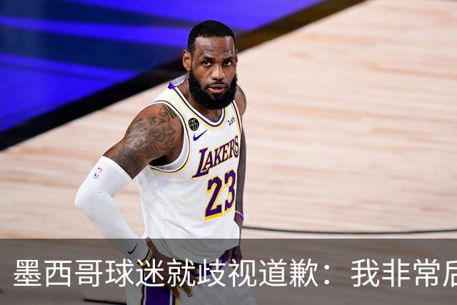 墨西哥球迷就歧视道歉：我非常后悔，已辞去工程师协会职务
